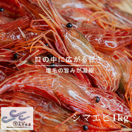 6-016-006　冷凍しまえび 1kg（60尾～80尾）　【海老・エビ・海老・エビ・魚介類】　お届け：入金確認後、随時発送（おおよそ1週間～1ヶ月）