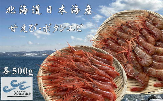 【ふるさと納税】6-022-003　冷凍甘えび・ボタンエビセット 各500g　【海老・ぼたんエビ・甘海老・あまエビ・海老・エビ】　お届け：入金確認後、随時発送（おおよそ1週間～1ヶ月）