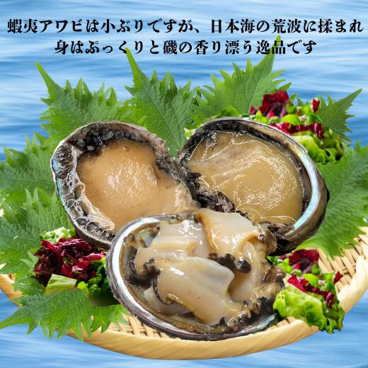 【ふるさと納税】8-048-003　【4.8万円コース・アワビ】おせちに年末海鮮便【12月中旬以降発送】　魚貝類・帆立・ホタテ・魚貝類・数の子・魚貝類・いくら・魚卵　お届け：【年内発送】2026年12月中旬以降発送一度にまとめてお届け