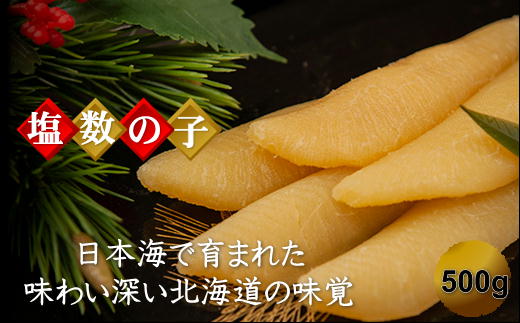 【ふるさと納税】6-017-006　北海道産塩数の子 500g（10本～14本入）【10月～発送】　【魚貝類・数の子】　お届け：入金確認後、随時発送