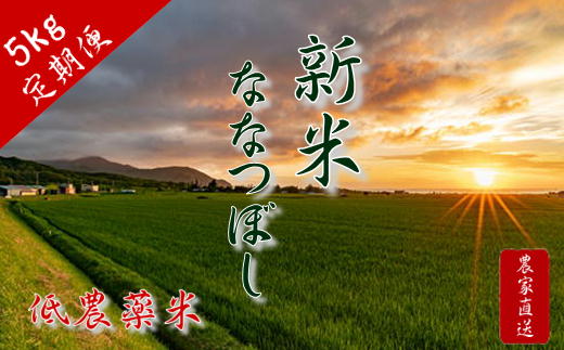 【ふるさと納税】8-100-001　新米・増毛町産ななつぼし 5kg×6ヶ月（10月～3月）【横関農園】　お米　お届け：10月～3月まで毎月発送（各月上旬に発送依頼、中旬以降発送）