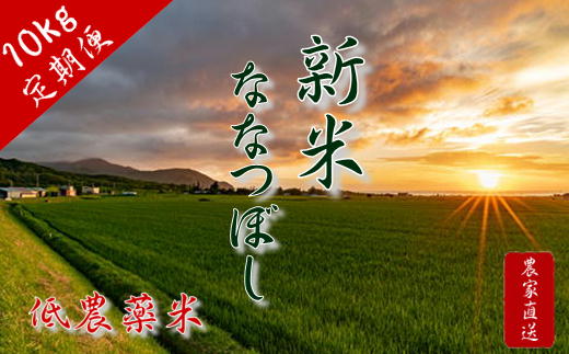 2位! 口コミ数「0件」評価「0」6-110-001　新米・増毛町産ななつぼし 10kg×6ヶ月（10月～3月）【木谷農林】　【定期便・お米】　お届け：10月～3月までの6ヶ･･･ 