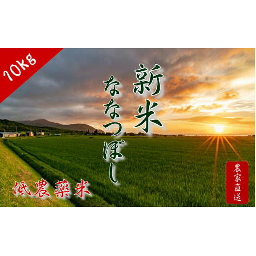6-016-015　新米・増毛町産ななつぼし 10kg（10月～発送）【中舘農園】　【お米・お米・お米】　お届け：10月～3月まで発送10月以降、前月末までの入金確認済の寄附者様に、翌月25日前後にお届けします。