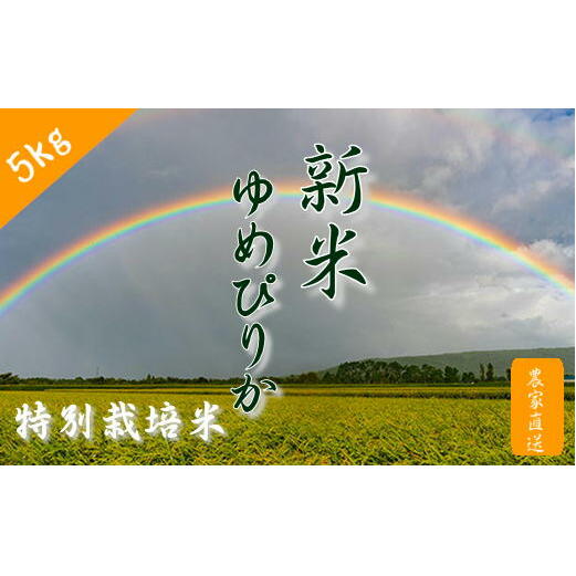 6-012-060　新米・増毛町産特別栽培米 ゆめぴりか 5kg【前野ファーム】　【お米】　お届け：10月より発送開始毎月25日前後のお届けとなります