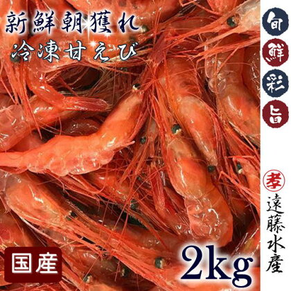 5-020-024　国産甘えび 2kg（500g×4）　【甘海老・あまエビ】　お届け：入金確認後、1週間～1ヶ月