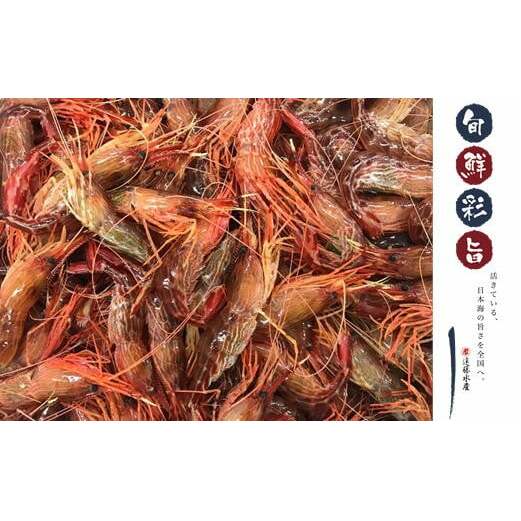 7-012-006 しまえび 1kg(500g×2) 海老・エビ お届け:入金確認後、1週間〜1ヶ月以内