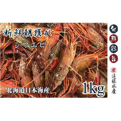 6-013-005　しまえび 1kg（500g×2）　【海老・エビ】　お届け：入金確認後、1週間～1ヶ月以内