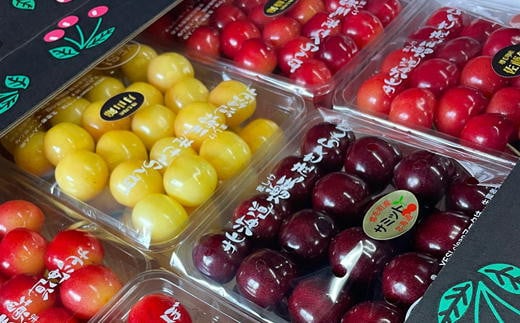 【ふるさと納税】6-040-015　【R7先行予約】山口さんちのさくらんぼ4種堪能セット 【2kg】　果物類・フルーツ・さくらんぼ・チェリー　お届け：【7/15-7/25】　※収穫状況により前後あり