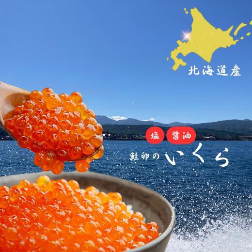 7-022-012 [北海道産]塩いくら・いくら醬油漬セット 各100g入 お届け:入金確認後、1週間〜1ヶ月以内