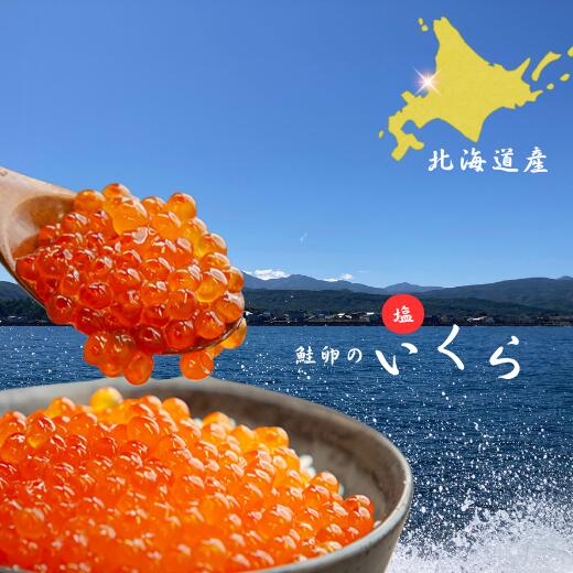7-012-054 [北海道産]塩いくら 100g入 お届け:入金確認後、1週間〜1ヶ月以内