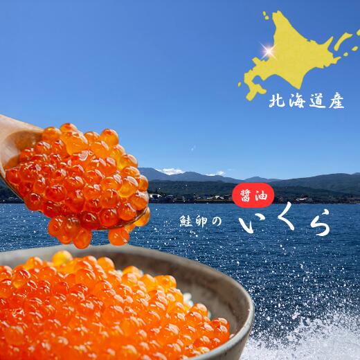 7-010-036 [北海道産]いくら醤油漬け 100g入 お届け:入金確認後、1週間〜1ヶ月以内