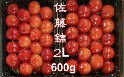 【ふるさと納税】8-015-013　秋香園 さくらんぼ 佐藤錦 600g（2L）　お届け：7月5...