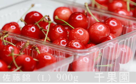 【ふるさと納税】8-012-007　千果園のさくらんぼ 佐藤錦（L）900g　お届け：7月5日～25日まで順次発送　※収穫状況により前後あり