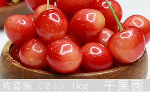 【ふるさと納税】8-018-005　千果園のさくらんぼ 佐藤錦（2L）1kg　お届け：7月5日...