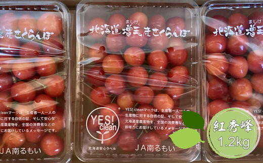 【ふるさと納税】8-020-011　尾久果樹園のさくらんぼ 紅秀峰（2L）1.2kg　お届け：...