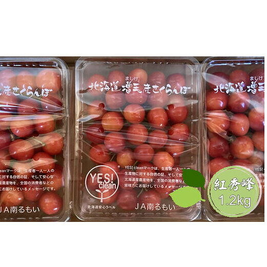 8-020-011 尾久果樹園のさくらんぼ 紅秀峰(2L)1.2kg お届け:7月5日〜25日まで順次発送 ※収穫状況により前後あり