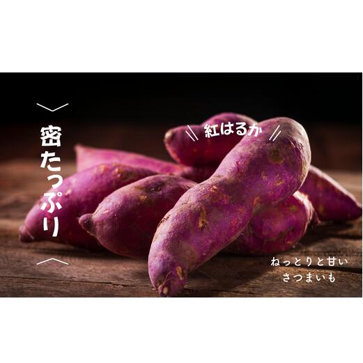 【ふるさと納税】8-010-012　さつまいも（紅はるか）5kg【マルゼン佐藤果樹園】　お届け：10月下旬～1月