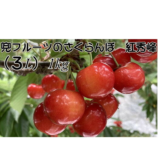 【ふるさと納税】8-024-008　兜フルーツのさくらんぼ紅秀峰（3L）1kg　お届け：7月15日～25日頃まで順次発送　※収穫状況により前後あり