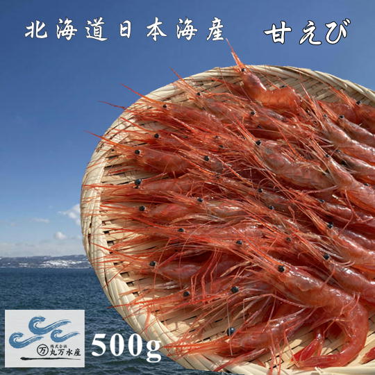 【ふるさと納税】8-011-006　冷凍甘えび 500g（約40尾）　お届け：入金確認後、1週間～1ヶ月以内