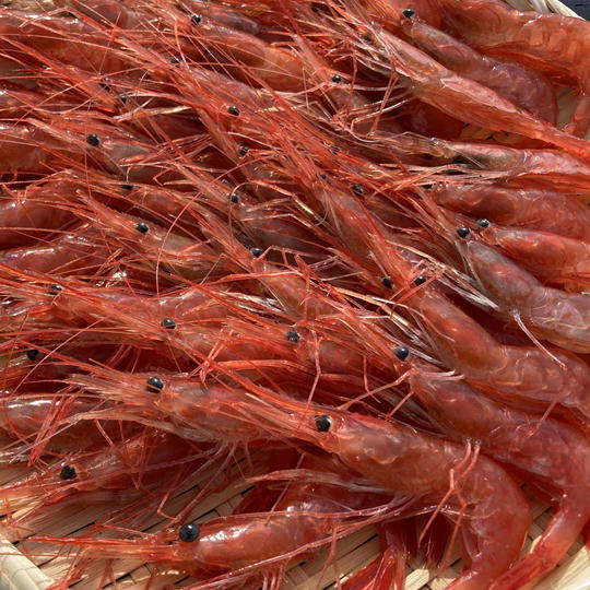 【ふるさと納税】8-020-004　冷凍甘えび 1kg（70尾～90尾）　お届け：入金確認後、1週間～1ヶ月以内