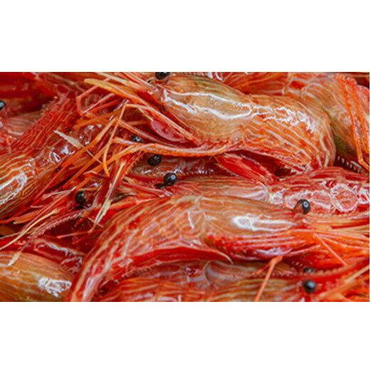 【ふるさと納税】8-024-002　冷凍しまえび 1kg（60尾～80尾）　お届け：入金確認後、1週間～1ヶ月以内