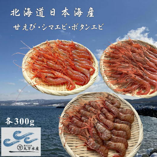【ふるさと納税】8-024-004　えび3種セット(甘えび・ボタンエビ・シマエビ)　お届け：入金確認後、1週間～1ヶ月以内