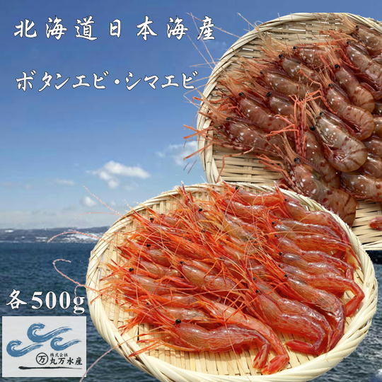 【ふるさと納税】8-026-002　冷凍ボタンエビ・しまえびセット 各500g　お届け：入金確認後、1週間～1ヶ月以内