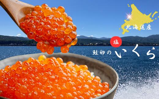 【ふるさと納税】8-013-007　【北海道産】塩いくら 100g入　お届け：入金確認後、1週間～1ヶ月以内