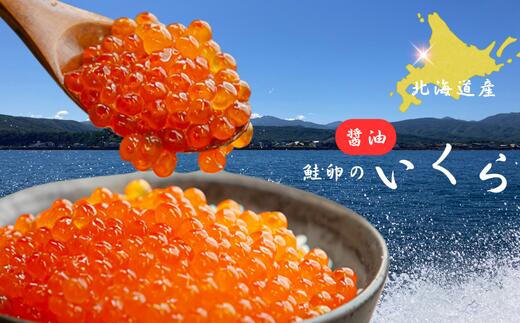 【ふるさと納税】8-011-007　【北海道産】いくら醤油漬け 100g入　お届け：入金確認後、1週間～1ヶ月以内
