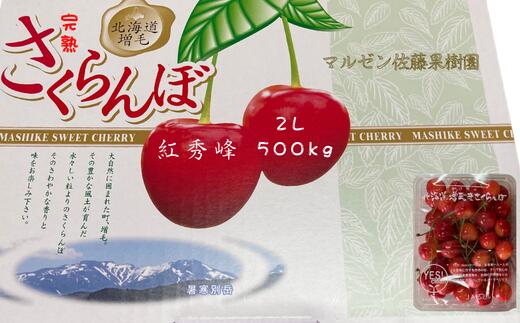 【ふるさと納税】8-011-016　完熟さくらんぼ 紅秀峰（2L）500g　マルゼン佐藤果樹園　お届け：7月5日～25日まで順次発送　※収穫状況により前後あり