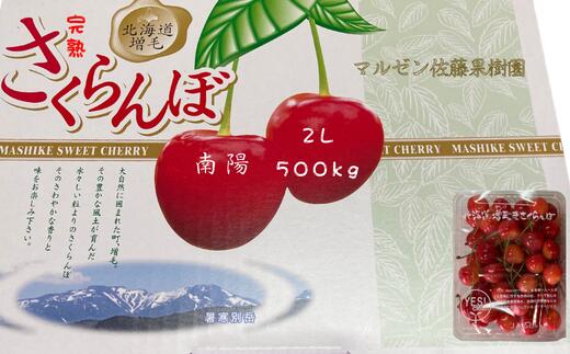 【ふるさと納税】8-011-017　完熟さくらんぼ 南陽（2L）500g【マルゼン佐藤果樹園】　お届け：7月5日～25日まで順次発送　※収穫状況により前後あり