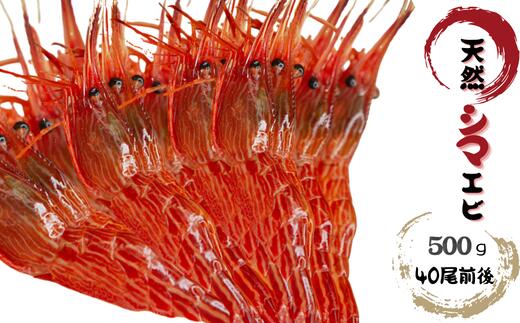 【ふるさと納税】8-007-010　天然シマエビ 500g （40尾前後）　お届け：入金確認後、1週間～1ヶ月以内