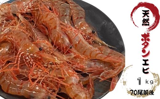 【ふるさと納税】8-014-009　天然ボタンエビ 1kg（70尾前後）　お届け：入金確認後、1週間～1ヶ月以内