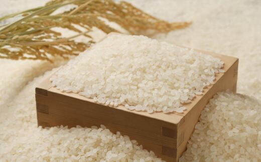 【ふるさと納税】8-018-011　増毛町産米ななつぼし5kg（新米10月～発送）【木谷農林】　お届け：（各月上旬に発送依頼、中旬以降発送） f014818-mashike-10001601 北海道増毛町 サンプル画像2