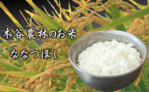 【ふるさと納税】8-090-002　増毛町産ななつぼし5kg×6ヶ月（10月～3月）【木谷農林...