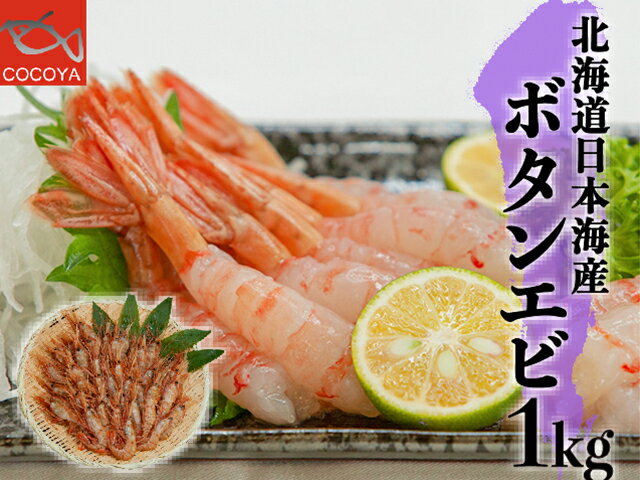 ボタンエビ