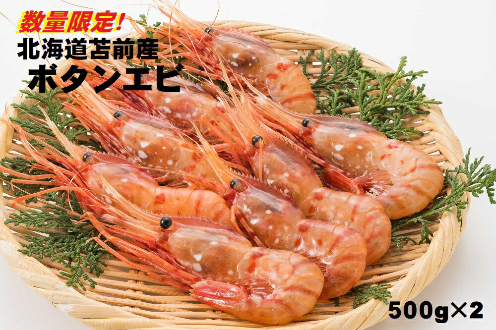 北海道苫前産ボタンエビ 500g×2[数量限定](えび・海老・シマ・甘・イバラ・正月・海鮮・魚介類・北海道・刺身・生・ボイル・小分け・3D冷凍)