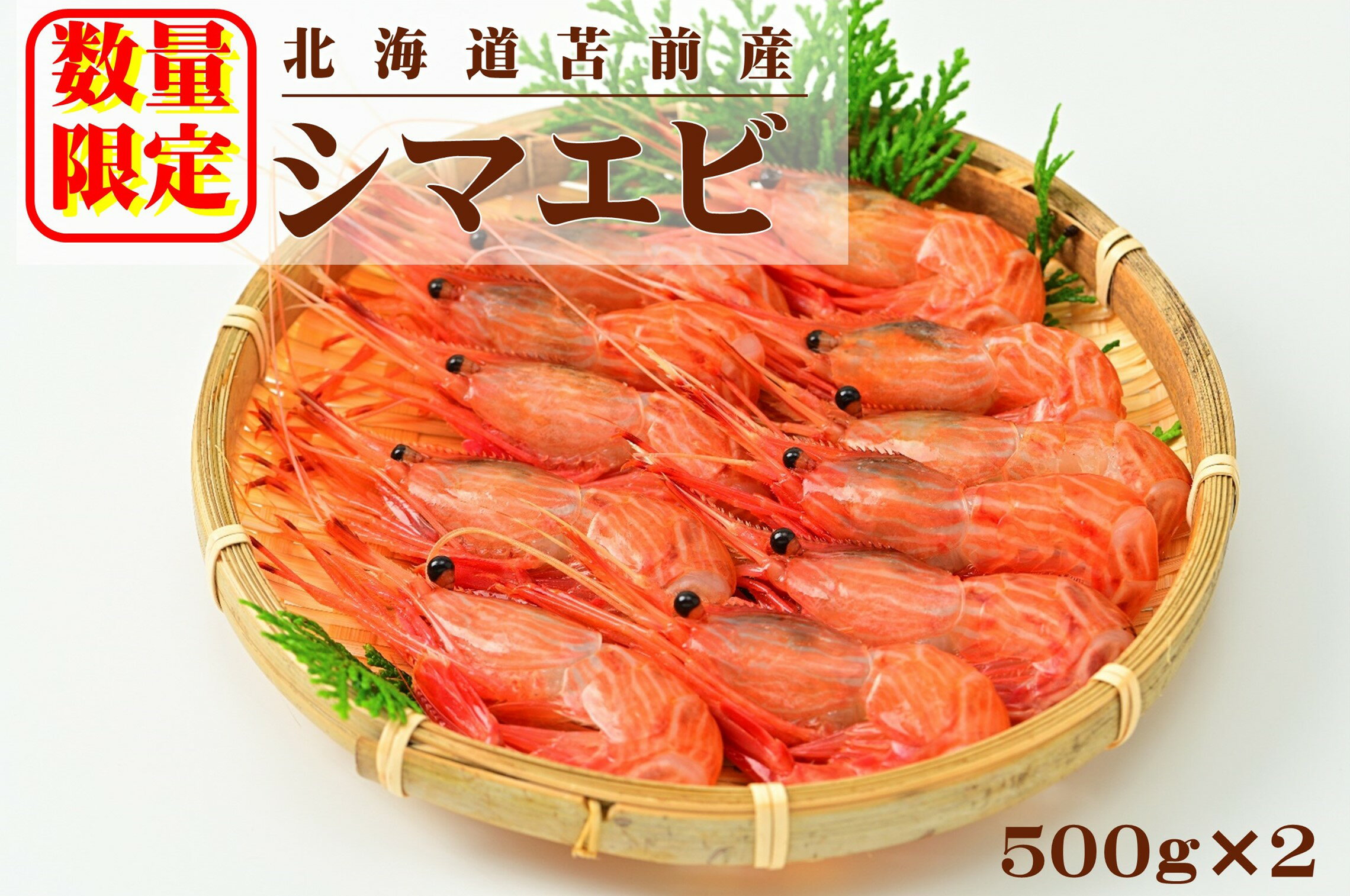 16位! 口コミ数「0件」評価「0」北海道苫前産シマエビ　500g×2《数量限定》（えび・海老・ボタン・甘・イバラ・正月・海鮮・魚介類・北海道・刺身・生・ボイル・小分け・3D冷･･･ 