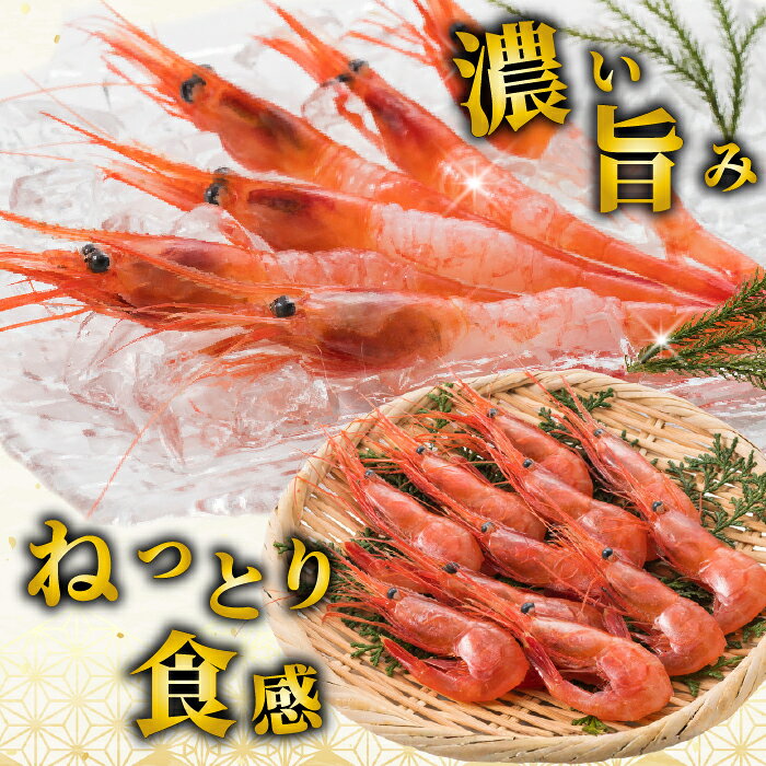 【ふるさと納税】【数量限定】北海道苫前産 甘エビ小 1kg（500g×2） 甘えび アマエビ えび 海老 小分け 正月 海鮮 魚介類 刺身 ボイル 急速冷凍 3Dフリーザー 北海道 苫前町 とままえ kit03