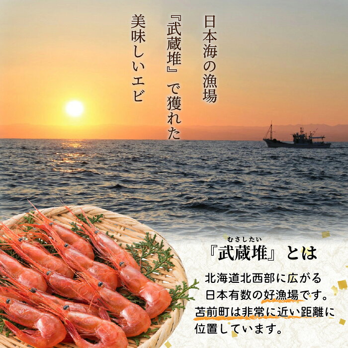 【ふるさと納税】【数量限定】北海道苫前産 甘エビ小 1kg（500g×2） 甘えび アマエビ えび 海老 小分け 正月 海鮮 魚介類 刺身 ボイル 急速冷凍 3Dフリーザー 北海道 苫前町 とままえ kit03 f014834-tomamae-10000230 北海道苫前町 サンプル画像3