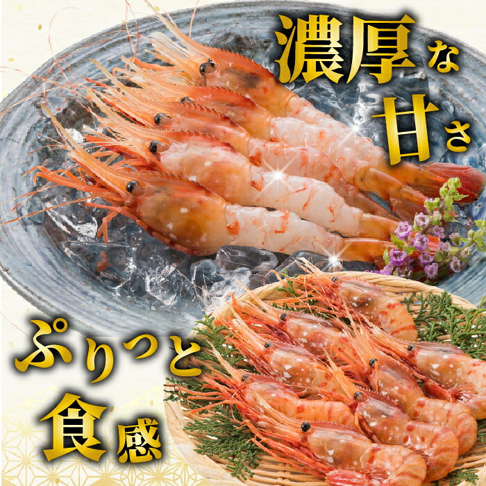 【ふるさと納税】【数量限定】北海道苫前産 ボタンエビ 1kg（500g×2） ぼたんえび 牡丹海老 えび 海老 小分け 正月 海鮮 魚介類 刺身 ボイル 急速冷凍 3Dフリーザー 北海道 苫前町 とままえ kit04