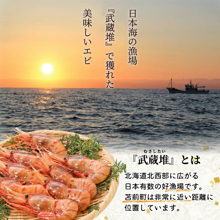【ふるさと納税】【数量限定】北海道苫前産 ボタンエビ 1kg（500g×2） ぼたんえび 牡丹海老 えび 海老 小分け 正月 海鮮 魚介類 刺身 ボイル 急速冷凍 3Dフリーザー 北海道 苫前町 とままえ kit04 f014834-tomamae-10000233 北海道苫前町 サンプル画像3