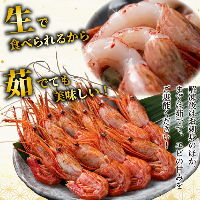【ふるさと納税】【数量限定】北海道苫前産 シマエビ 1kg（500g×2） しまえび 縞海老 えび 海老 正月 海鮮 魚介類 刺身 ボイル 小分け 急速冷凍 3Dフリーザー 北海道 苫前町 とままえ kit13