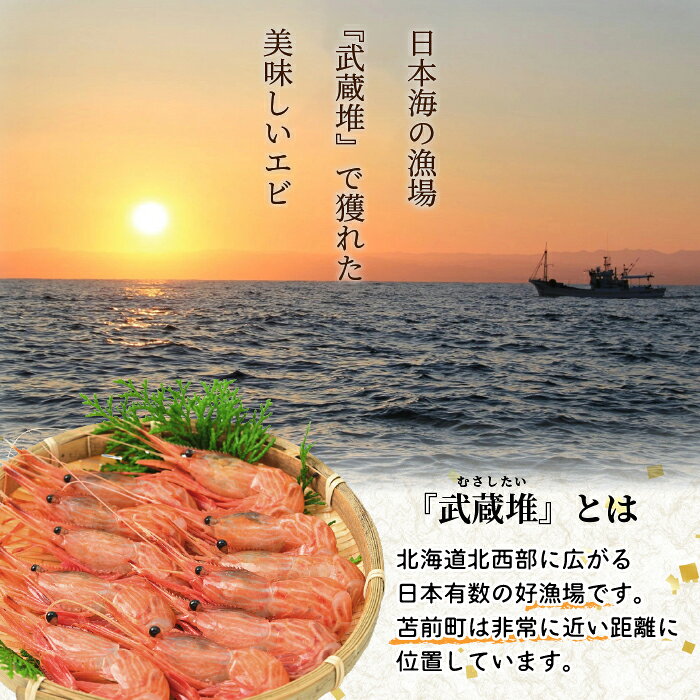 【ふるさと納税】【数量限定】北海道苫前産 シマエビ 1kg（500g×2） しまえび 縞海老 えび 海老 正月 海鮮 魚介類 刺身 ボイル 小分け 急速冷凍 3Dフリーザー 北海道 苫前町 とままえ kit13 f014834-tomamae-10000231 北海道苫前町 サンプル画像3