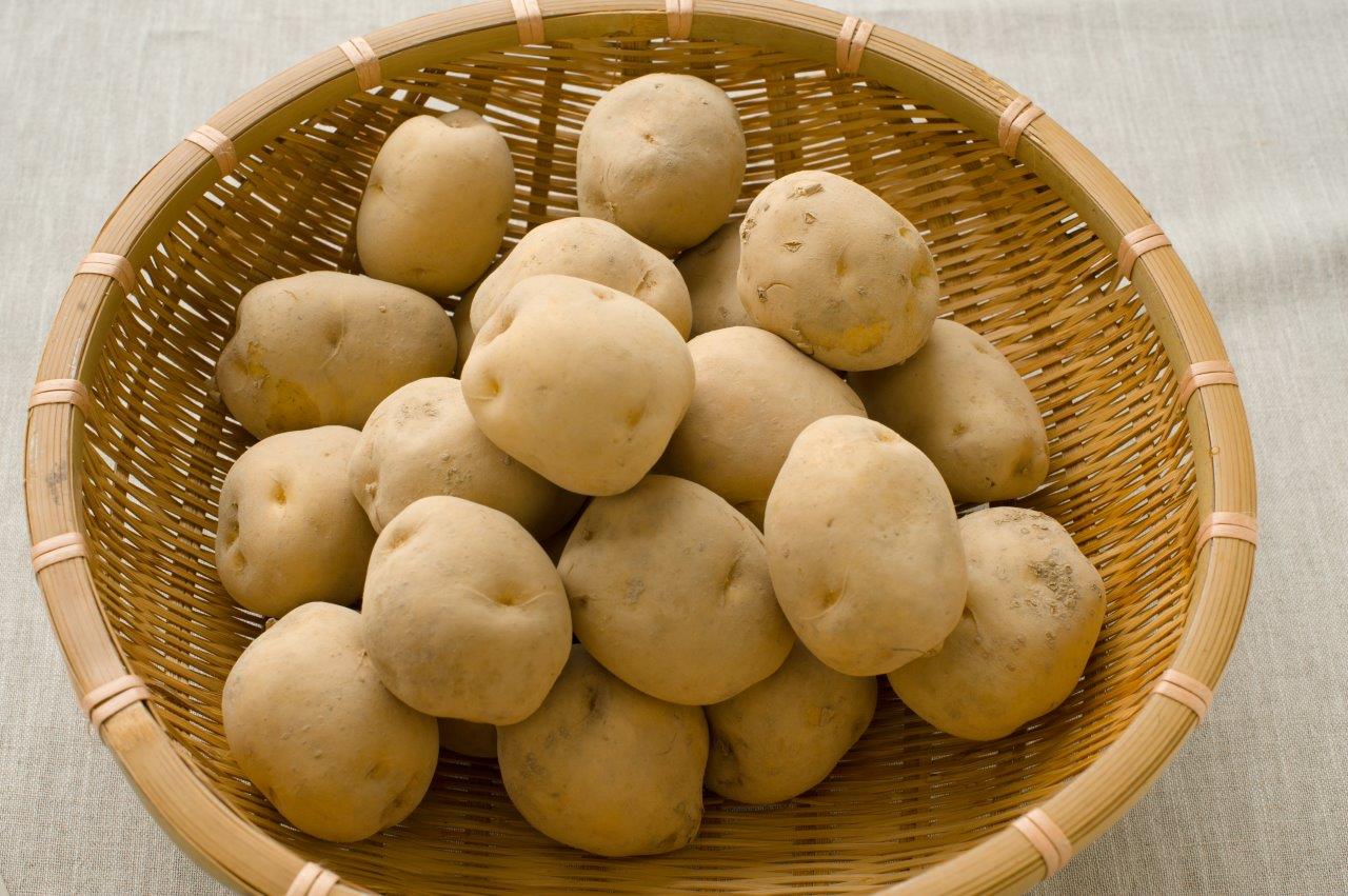 記事番号:33287/アイテムID:360360の画像