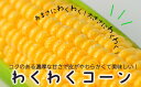 北海道苫前町の画像2