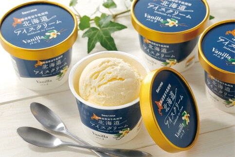 【ふるさと納税】北海道バニラアイスクリーム12個セット