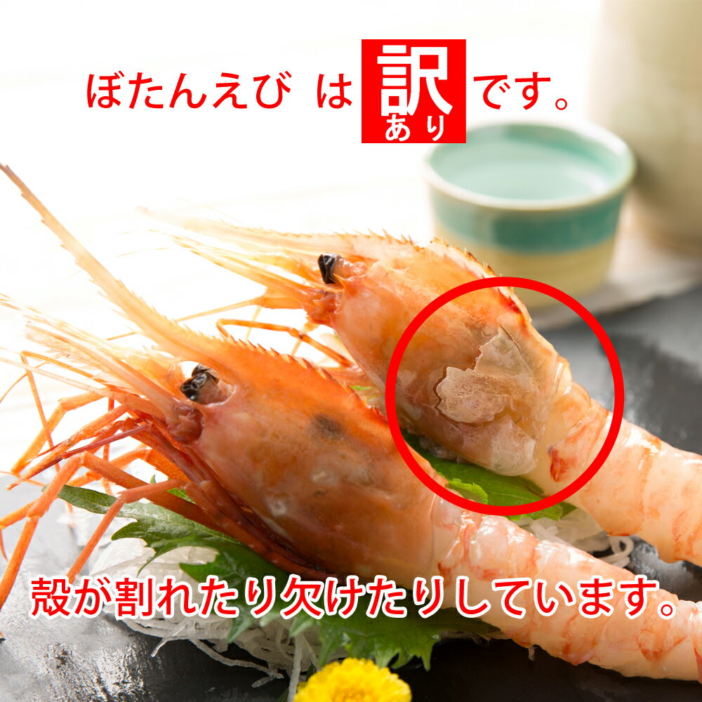 【ふるさと納税】北海道羽幌産　ゴジラエビ＆訳ありぼたんえび