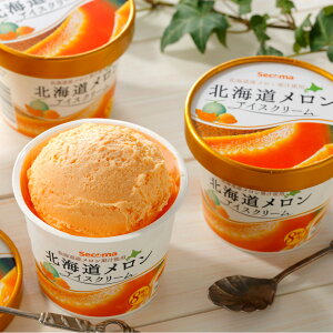 【ふるさと納税】北海道メロンアイスクリーム12個セット