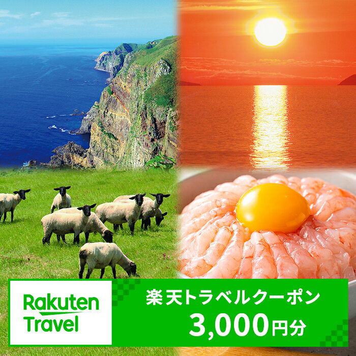 北海道羽幌町の対象施設で使える 楽天トラベルクーポン 寄付額10,000円(クーポン3,000円)[99010]